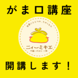 がま口教室・ワークショップのお知らせ